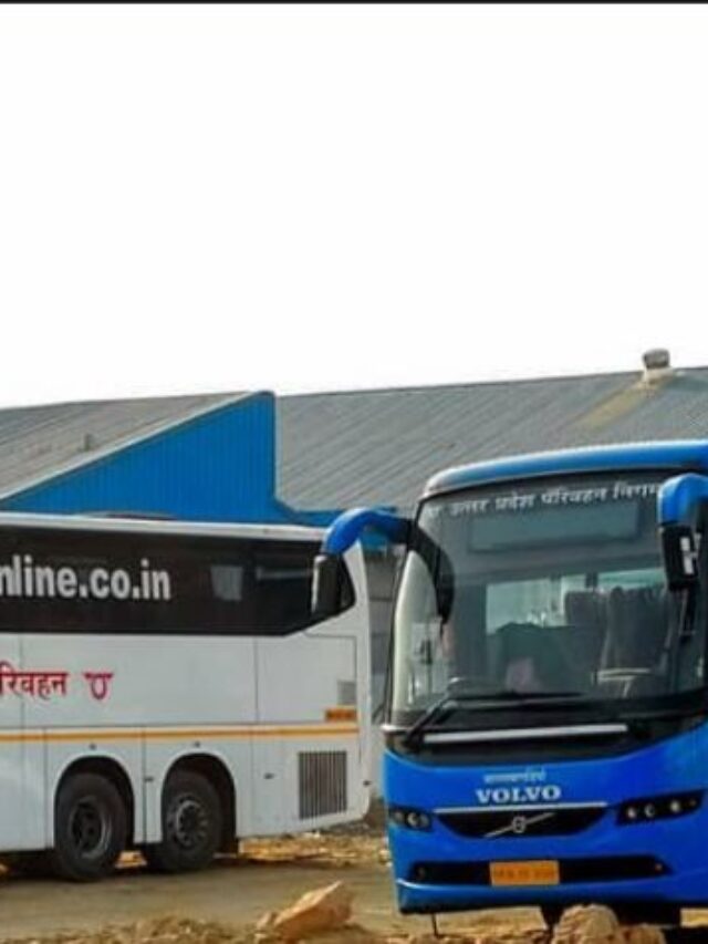 WhatsApp Image 2024-11-21 at 11.48.56 AM